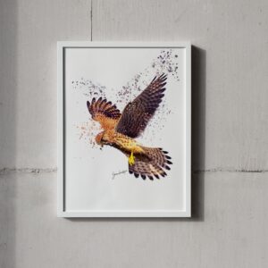 Kestrel Portrait Splatter Style Artwork Fine Art Print (Unframed)